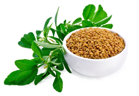 Fenugreek