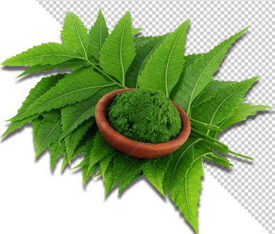 Neem
